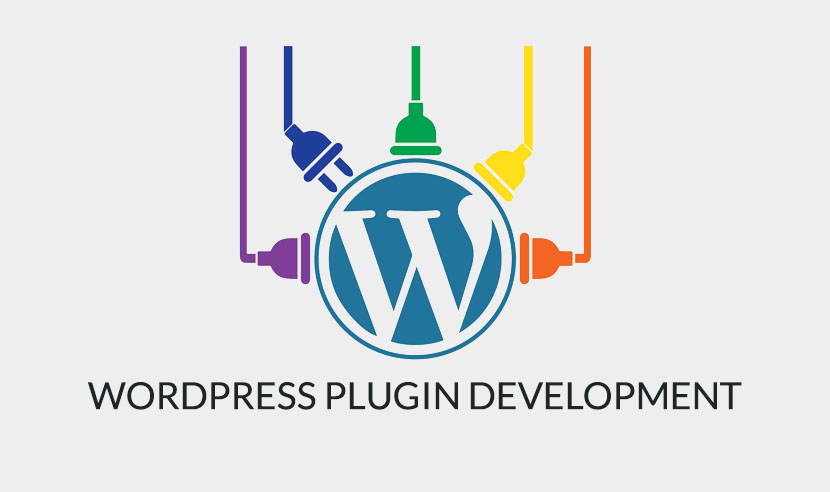 Custom WordPress Plugin Development cover